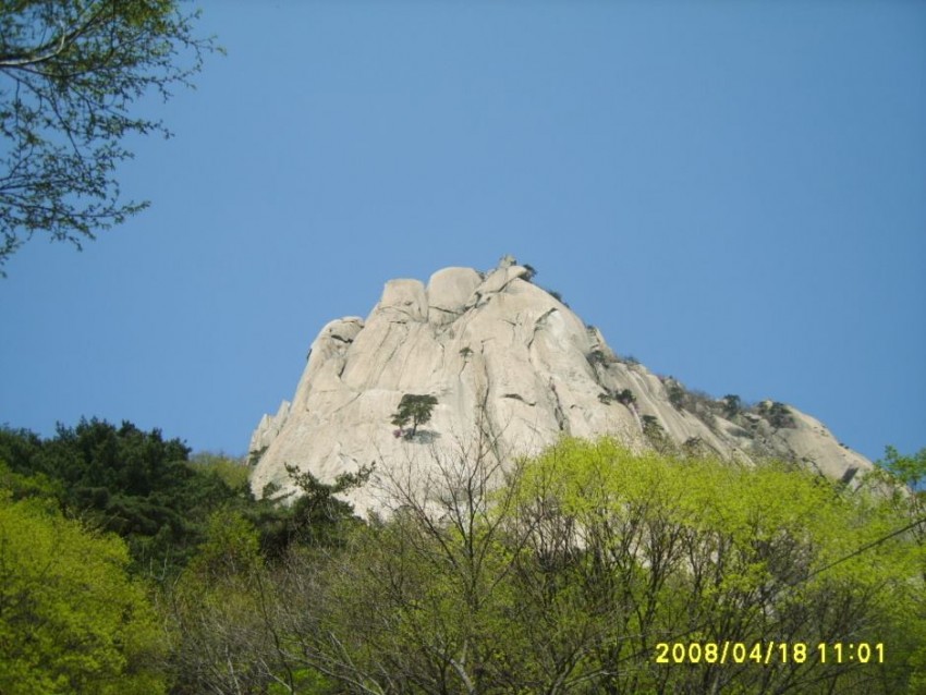 0411f737f5add74849fc94fc46624ce2_1594069280_0587.jpg